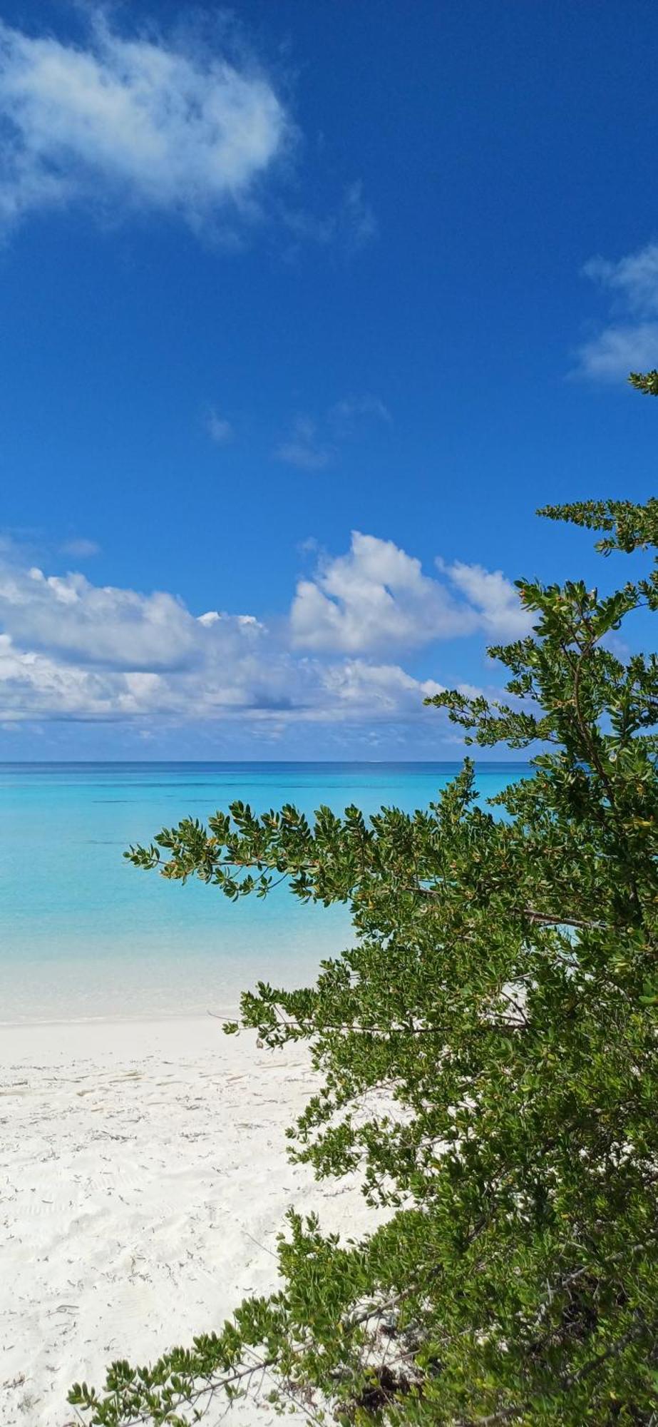 Bed and Breakfast Nikabliss Dhigurah Dhigurah  Exteriér fotografie